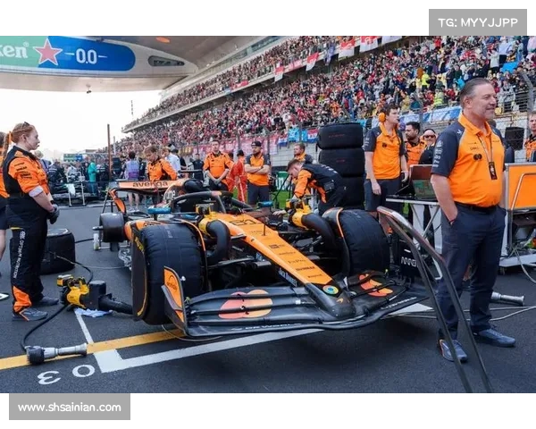 2015上海赛车场赛事—2014上海赛车嘉年华