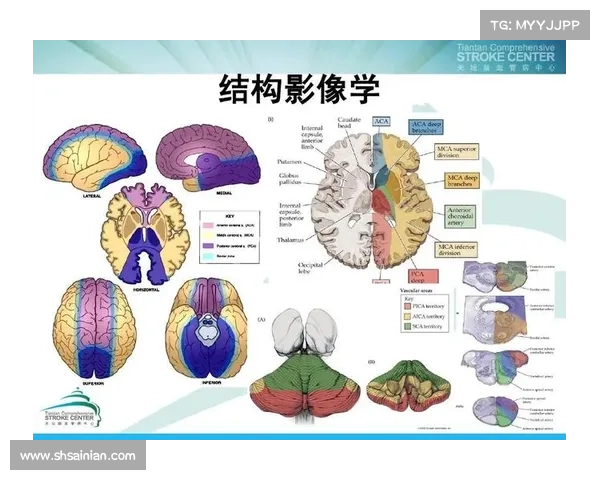 体育赛事预测准确性提升之道核心策略与实战应用全面剖析