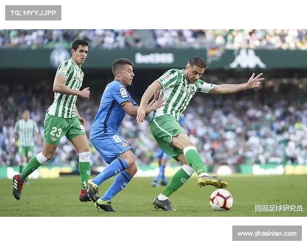 足球竞彩赛事编号深度解析核心价值与实战应用指南